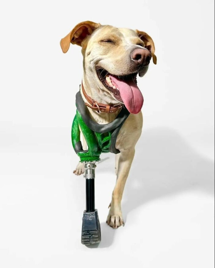 10 fotografías fascinantes presentadas en la cuenta de Instagram “The Decisive Moments Magazine”