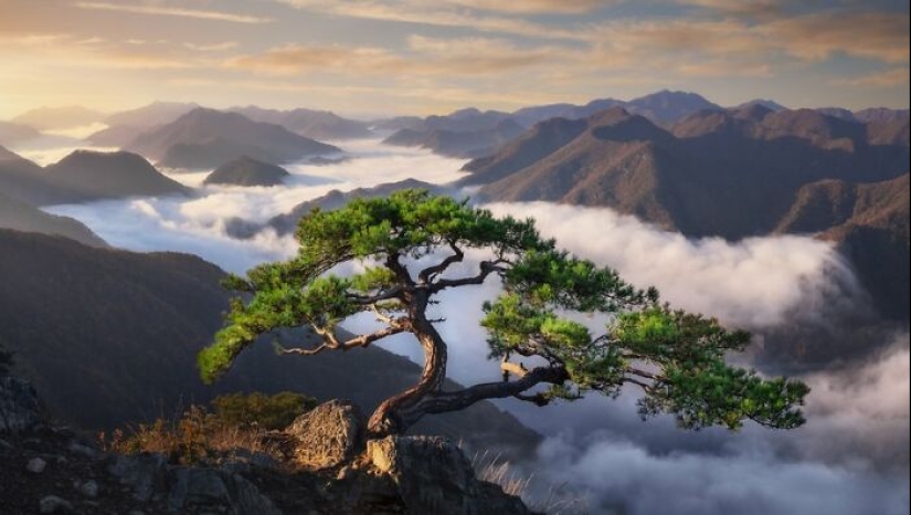 10 fotos de la Madre Tierra tomadas en esta página en línea que demuestran que la naturaleza está iluminada 10 fotos de la Madre Tierra tomadas en esta página en línea que demuestran que la naturaleza está iluminada