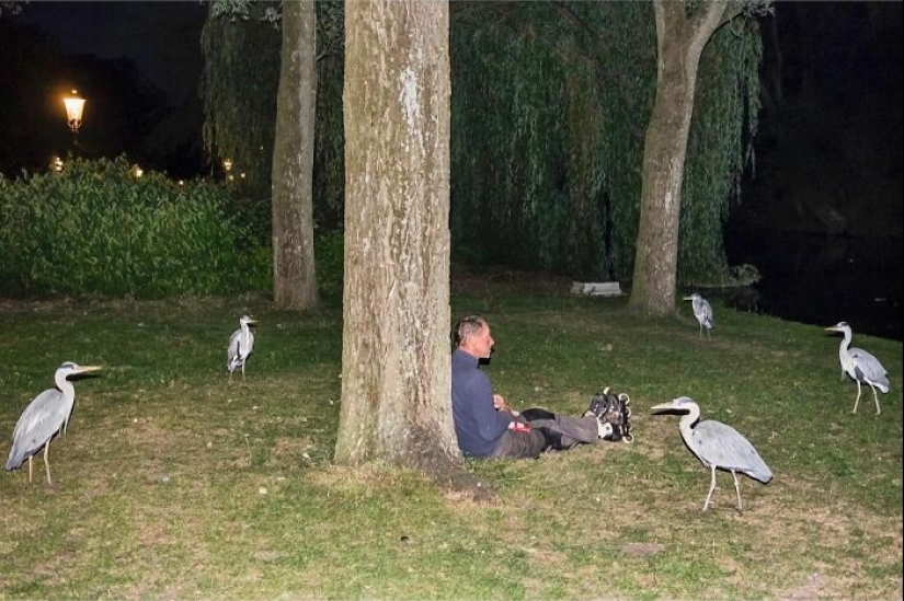 10 Funny Accidental Images That Were Taken At The Right Time And Place By This Street Photographer