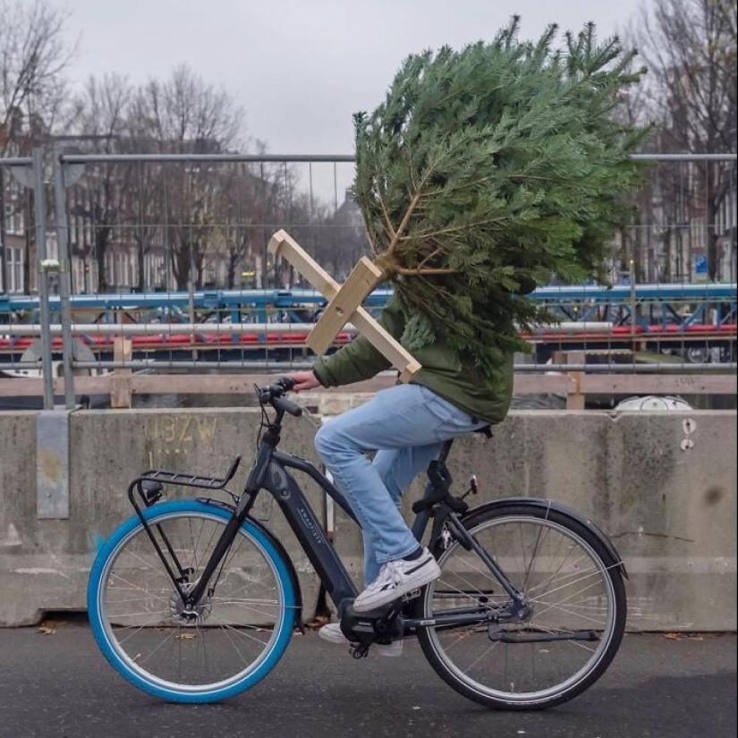 10 Funny Accidental Images That Were Taken At The Right Time And Place By This Street Photographer