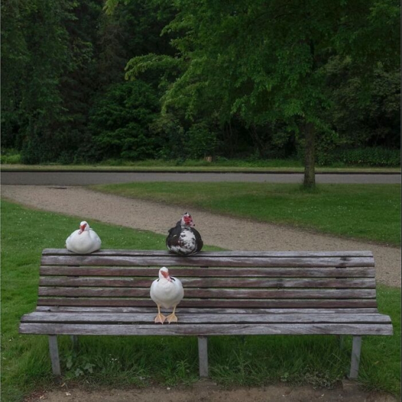 10 Funny Accidental Images That Were Taken At The Right Time And Place By This Street Photographer