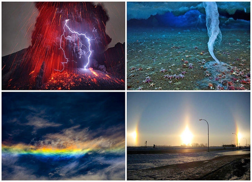 10 funny natural phenomena