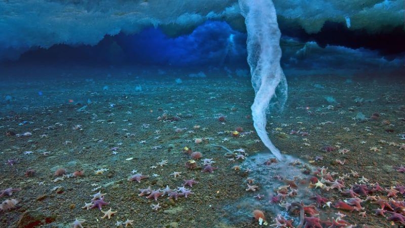 10 funny natural phenomena