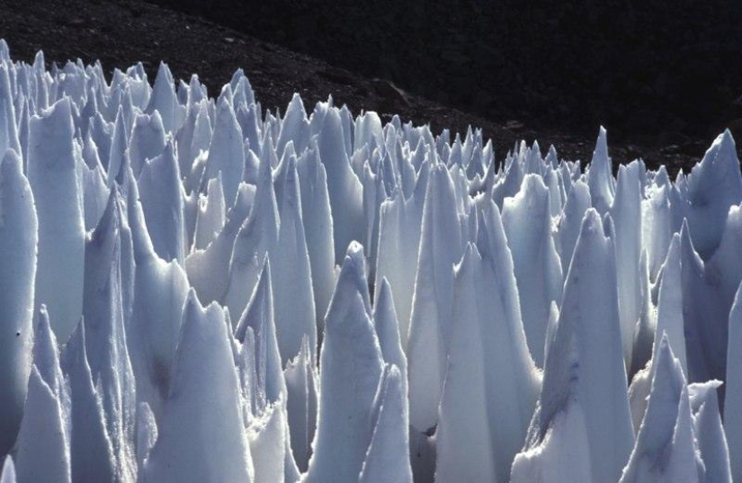 10 funny natural phenomena