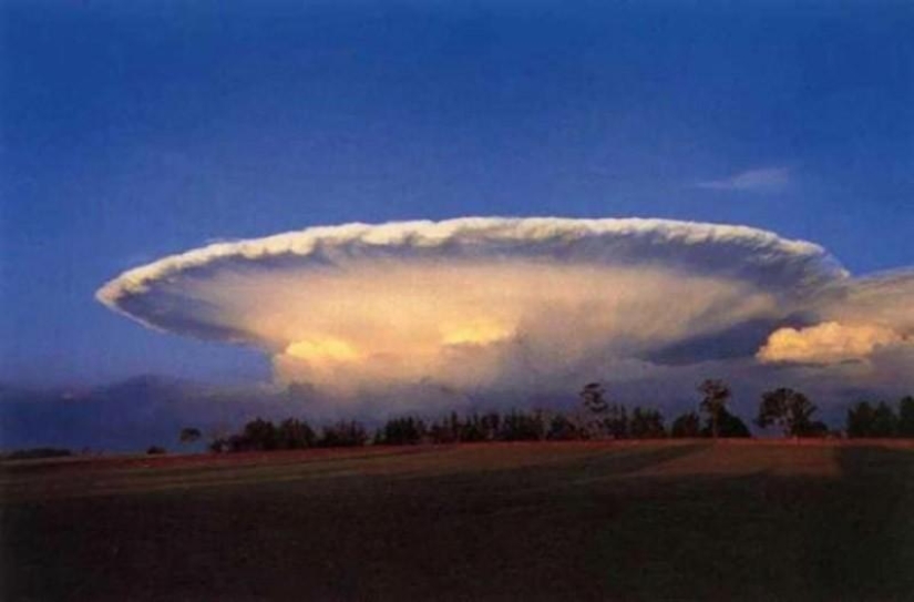 10 funny natural phenomena