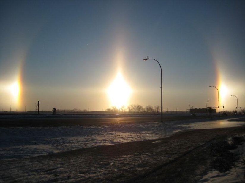 10 funny natural phenomena