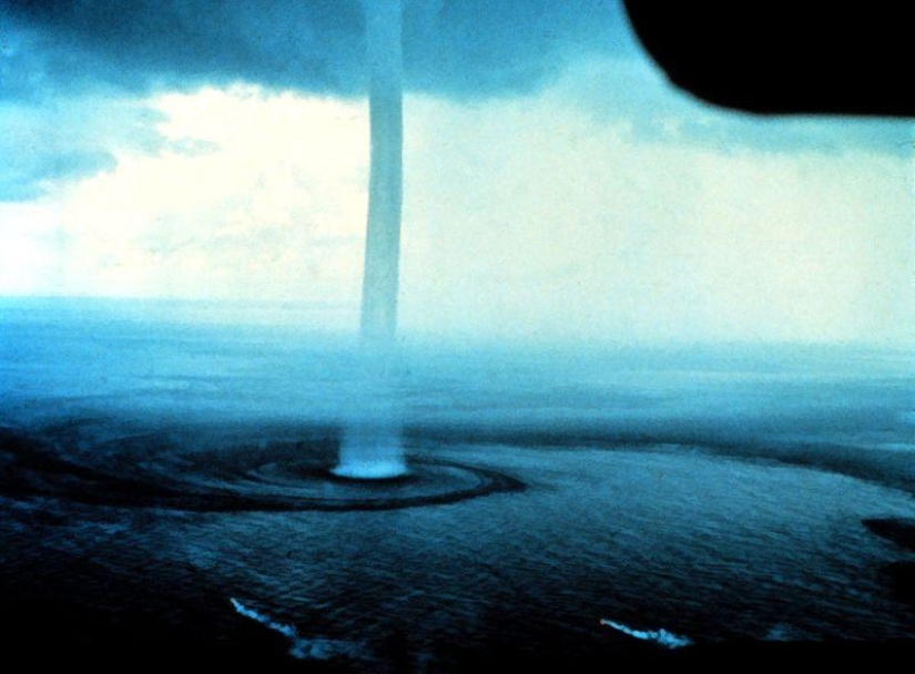 10 funny natural phenomena