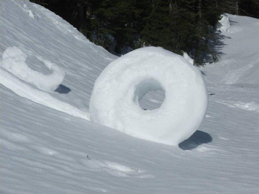 10 funny natural phenomena