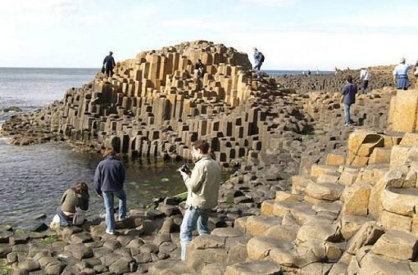 10 funny natural phenomena