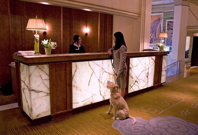 10 hoteles con servicios adicionales únicos 10 hoteles con servicios adicionales únicos