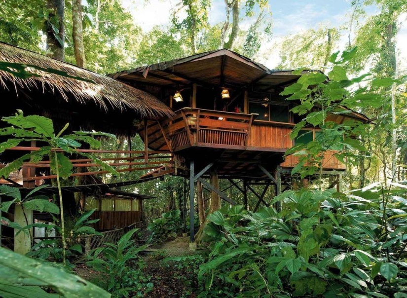 10 hoteles más increíbles en los árboles