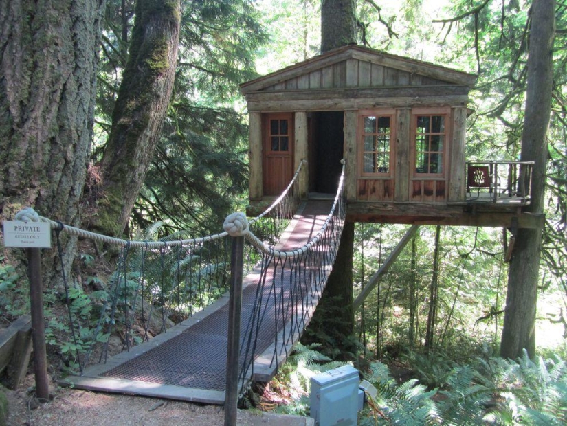 10 hoteles más increíbles en los árboles
