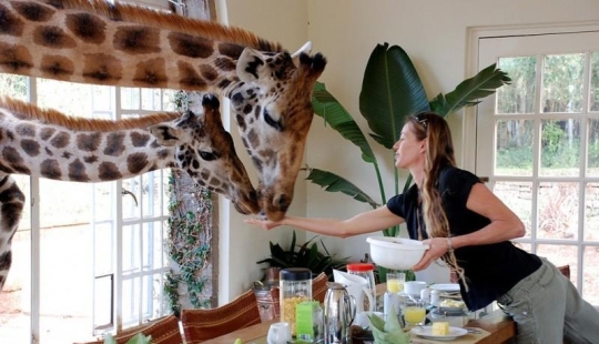 10 hotels with unique extras