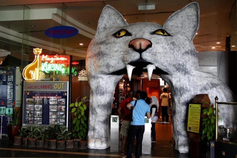 10 lugares que aman a los gatos