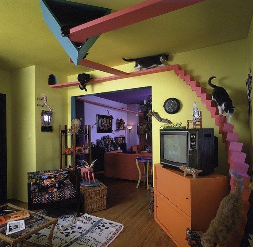 10 lugares que aman a los gatos