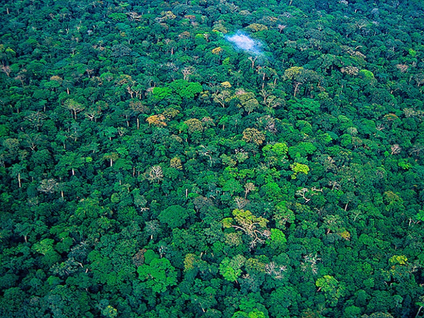 10 maravillas del mundo que pueden desaparecer en los próximos 20 años 10 maravillas del mundo que pueden desaparecer en los próximos 20 años