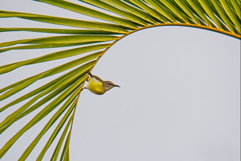 10 Mesmerising Nature Photos That Won The 2023 Nature inFocus Photography Awards