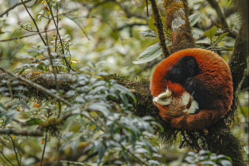 10 Mesmerising Nature Photos That Won The 2023 Nature inFocus Photography Awards