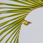 10 Mesmerising Nature Photos That Won The 2023 Nature inFocus Photography Awards (Part2) 10 Mesmerising Nature Photos That Won The 2023 Nature inFocus Photography Awards (Part2)