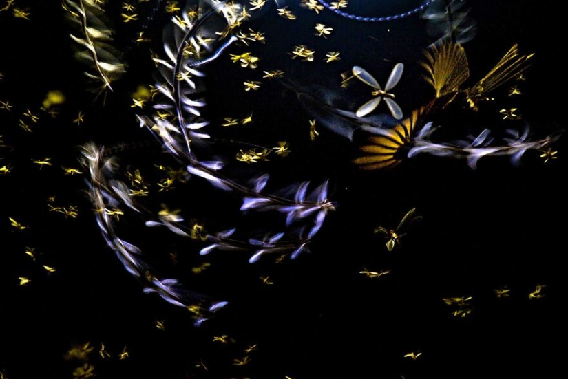 10 Mesmerising Nature Photos That Won The 2023 Nature inFocus Photography Awards