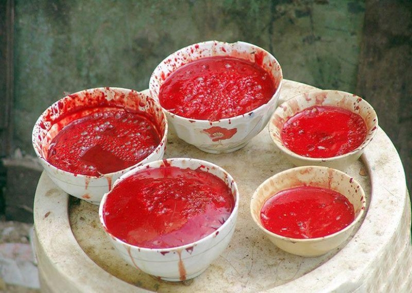 10 most disgusting dishes 10 most disgusting dishes