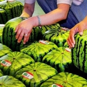 10 Most Expensive Foods in Japan