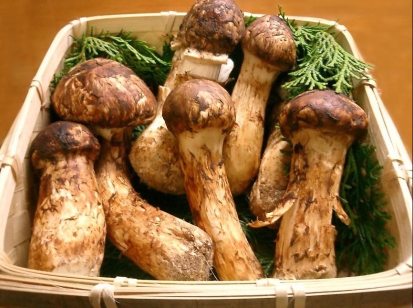 10 Most Expensive Foods in Japan 10 Most Expensive Foods in Japan