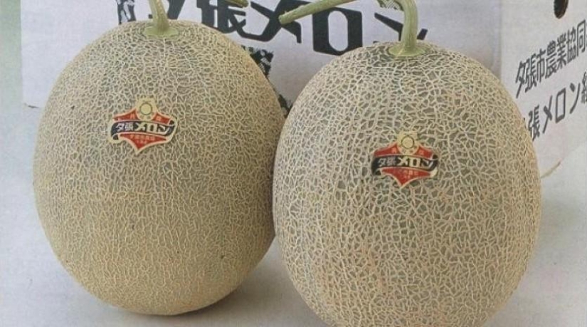 10 Most Expensive Foods in Japan 10 Most Expensive Foods in Japan