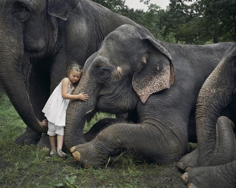10 most touching stories of communication between children and animals