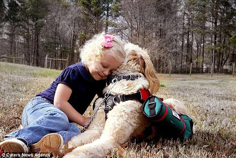 10 most touching stories of communication between children and animals