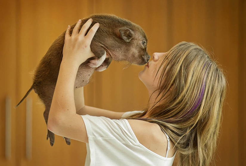 10 most touching stories of communication between children and animals