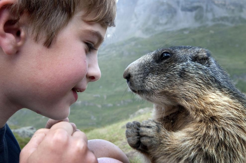 10 most touching stories of communication between children and animals