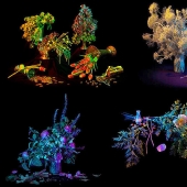 10 Most Useful Magic Collections from Salem