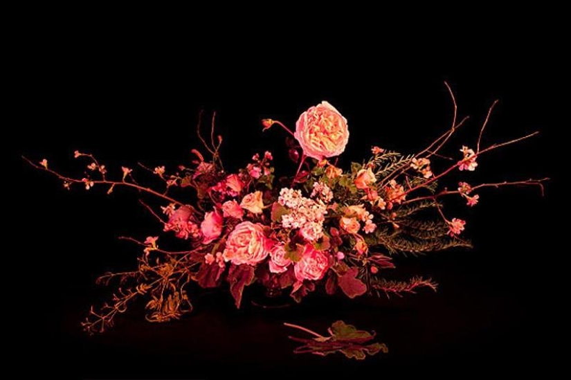 10 Most Useful Magic Collections from Salem 10 Most Useful Magic Collections from Salem