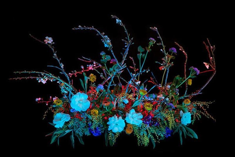 10 Most Useful Magic Collections from Salem 10 Most Useful Magic Collections from Salem