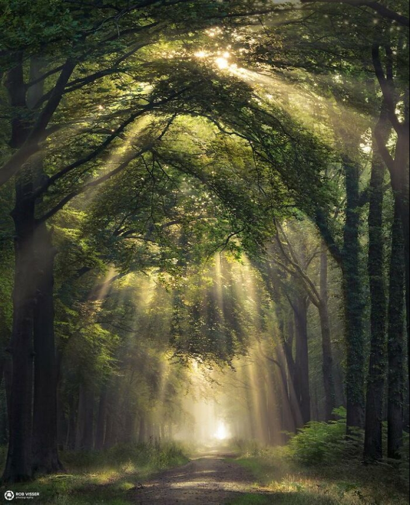 10 Photos Of Mother Earth From This Online Page That Prove Nature Is Lit 10 Photos Of Mother Earth From This Online Page That Prove Nature Is Lit