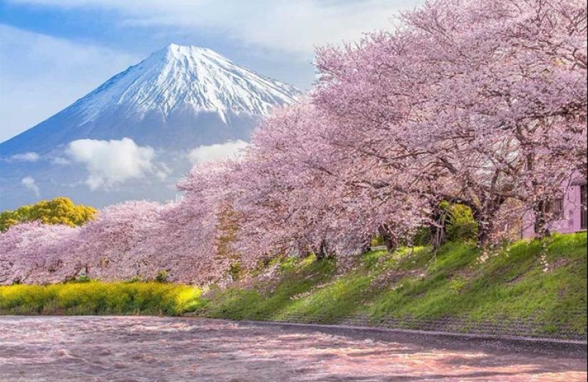 10 Photos Of Mother Earth From This Online Page That Prove Nature Is Lit 10 Photos Of Mother Earth From This Online Page That Prove Nature Is Lit