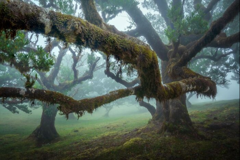 10 Photos Of Mother Earth From This Online Page That Prove Nature Is Lit 10 Photos Of Mother Earth From This Online Page That Prove Nature Is Lit
