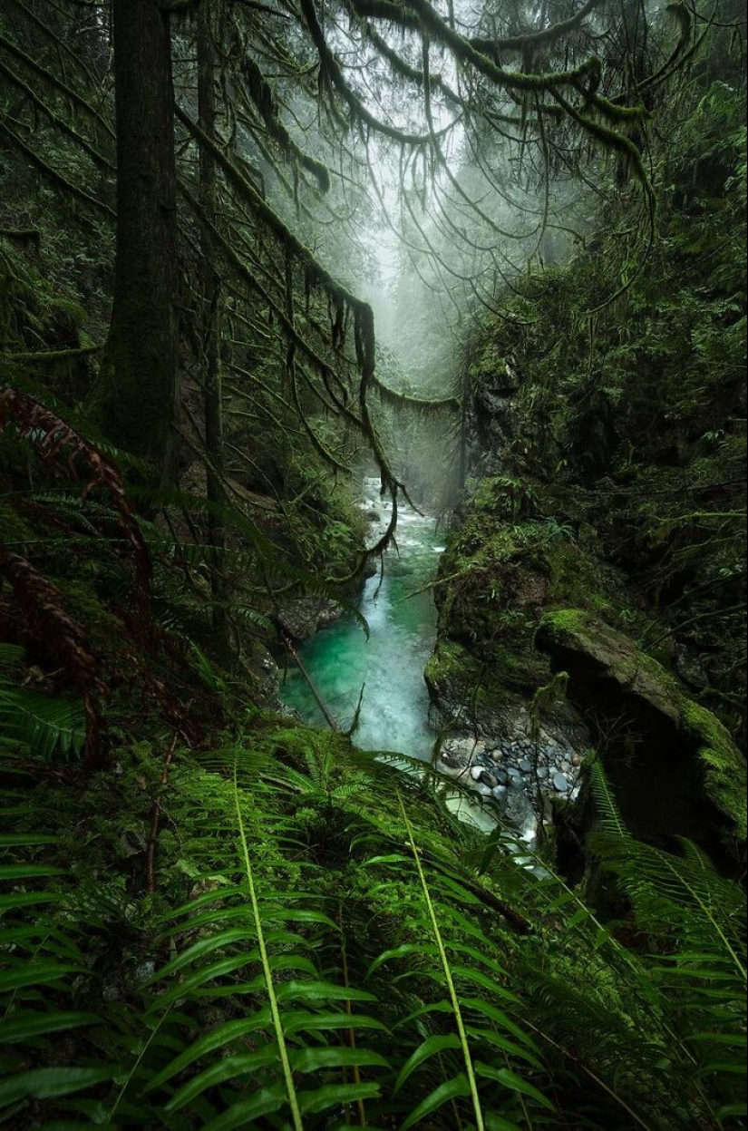 10 Photos Of Mother Earth From This Online Page That Prove Nature Is Lit 10 Photos Of Mother Earth From This Online Page That Prove Nature Is Lit