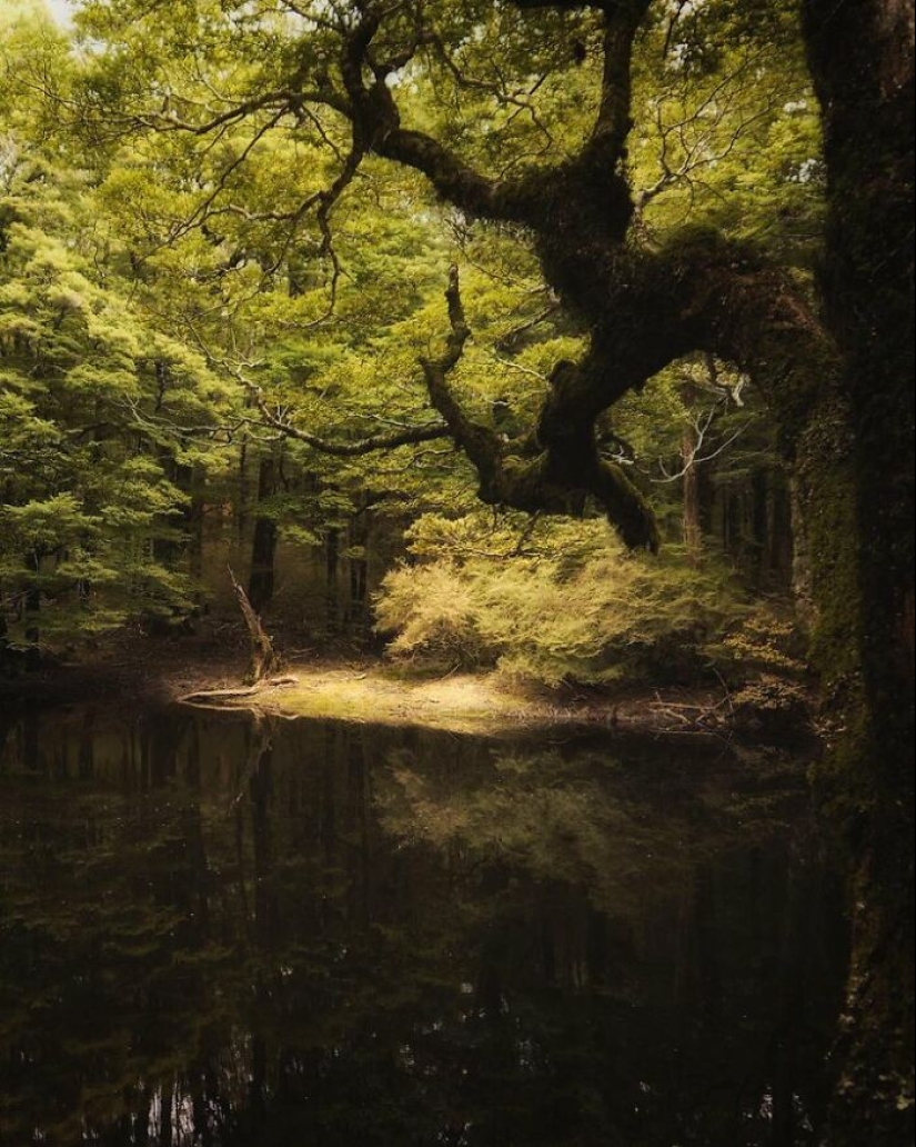 10 Photos Of Mother Earth From This Online Page That Prove Nature Is Lit 10 Photos Of Mother Earth From This Online Page That Prove Nature Is Lit