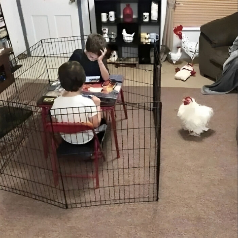 10 Pics That Raise More Questions Than Answers, Posted By “Images That Need More Context” 10 Pics That Raise More Questions Than Answers, Posted By “Images That Need More Context”
