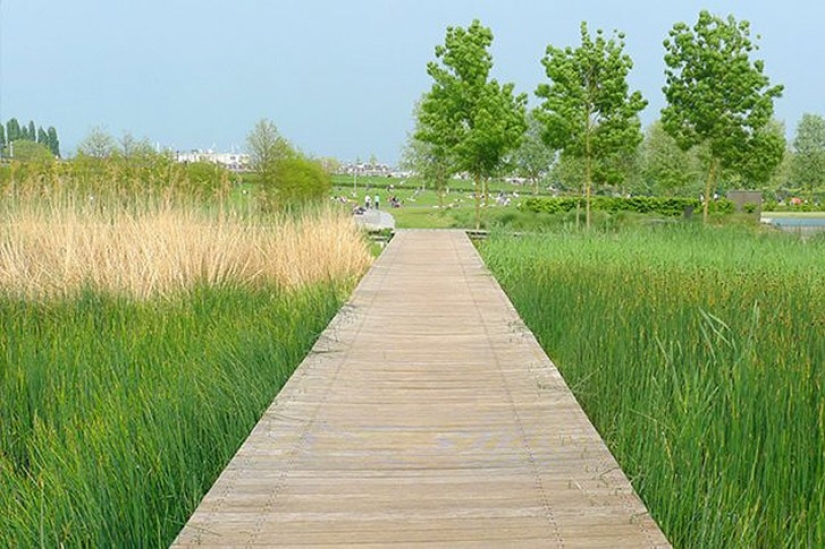 10 places in Amsterdam where Amsterdammers themselves go 10 places in Amsterdam where Amsterdammers themselves go