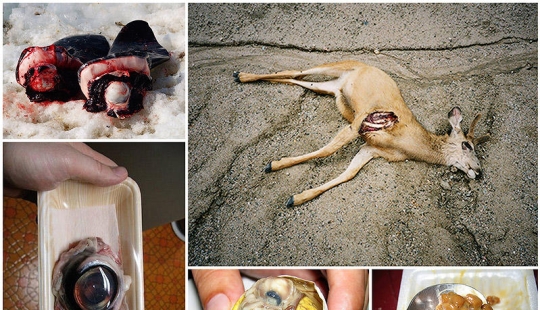 10 platos más repugnantes 10 platos más repugnantes