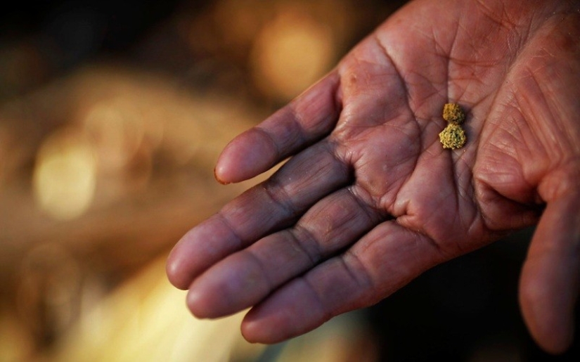 10 ríos en Rusia donde puedes buscar oro