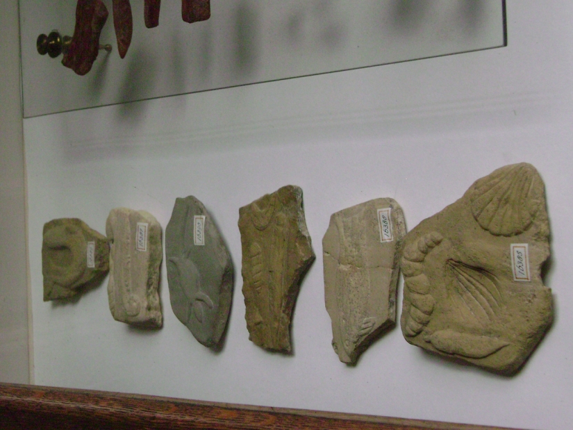10 scientific hoaxes that shocked the world