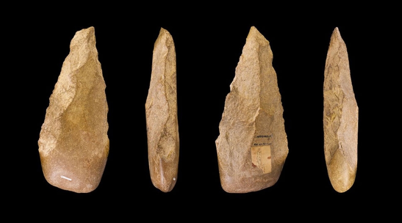 10 scientific hoaxes that shocked the world