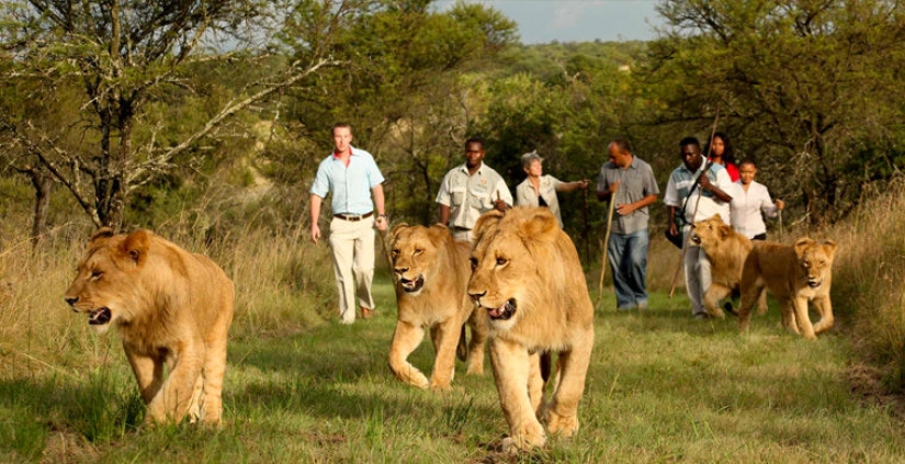 10 servicios más inesperados y exóticos en hoteles 10 servicios más inesperados y exóticos en hoteles