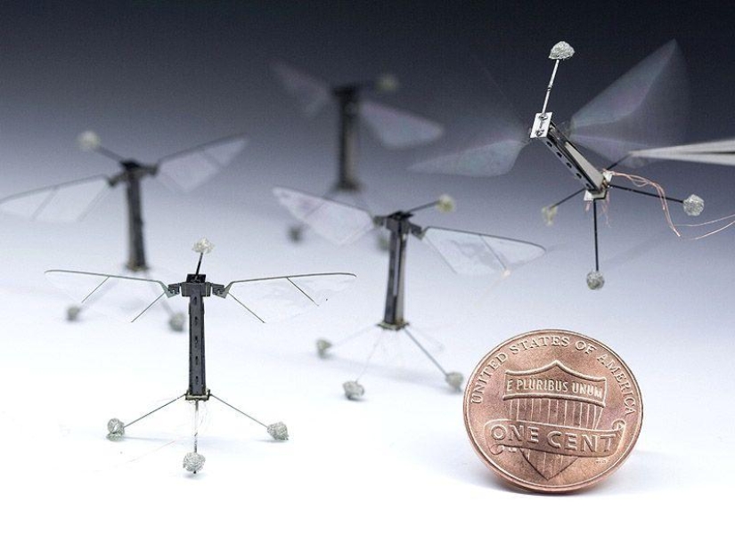 10 smallest things 10 smallest things