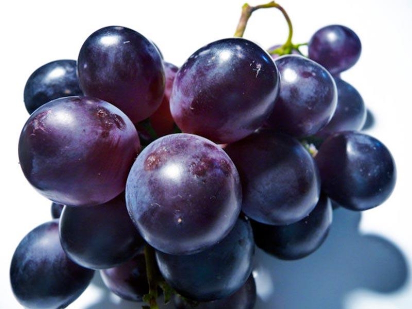10 snacks deliciosos y saludables por solo 100 calorías