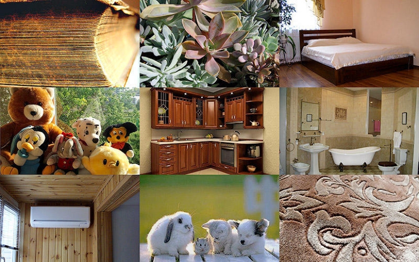 10 sources of allergies in your home